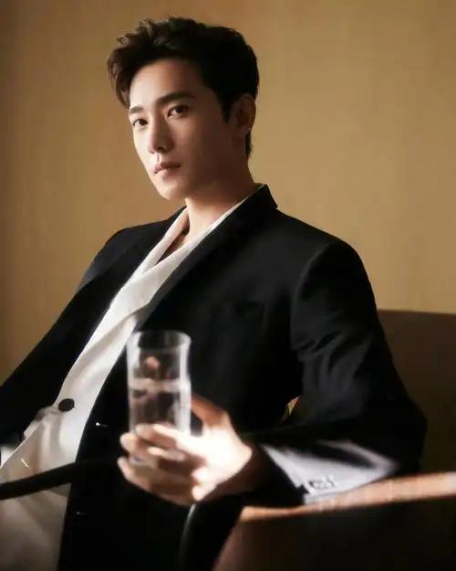 我的唯一喜欢的一个男明星