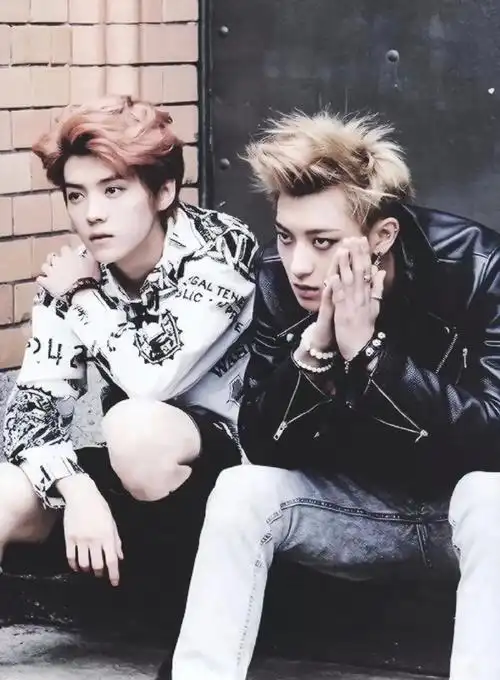 黄子韬演唱鹿晗送了花篮