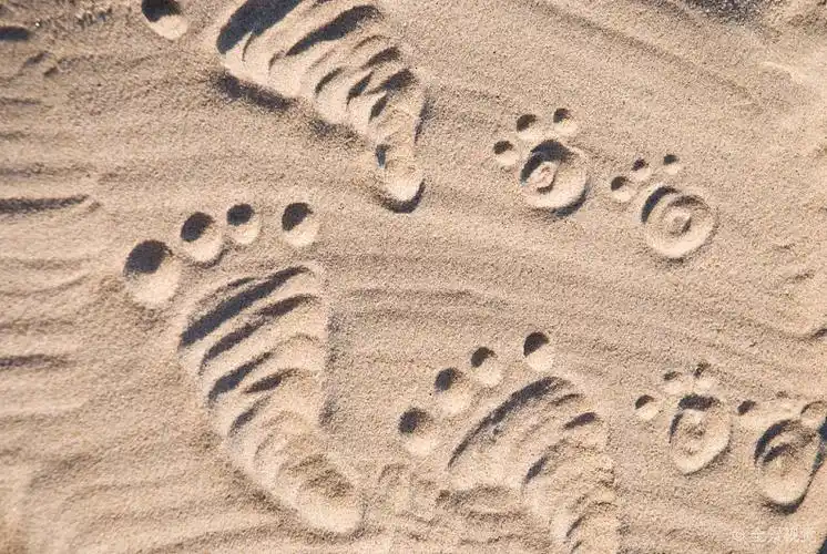 沙滩_脚印_高清图片_全景视觉