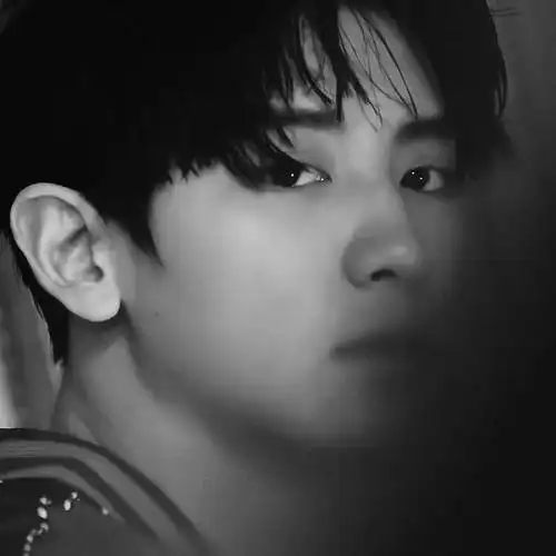 朴灿烈黑白氛围图合集