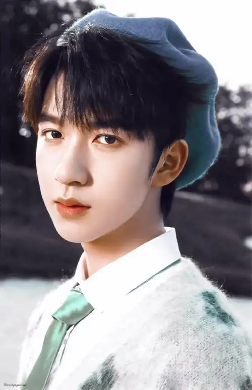 贺峻霖 画报颜值