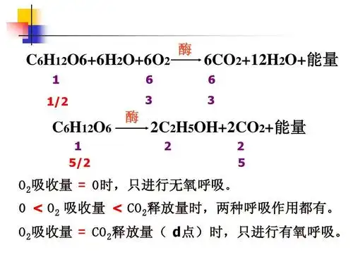 酶 2c2h5oh 2co2 能量 能量 2     o2吸收量 = 0时,只进行无氧呼吸
