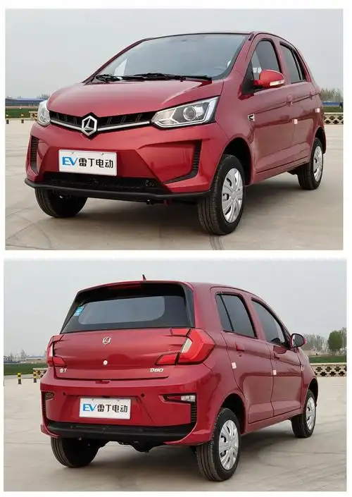 雷丁电动汽车四轮成人家用新能源油电两用女性接送孩子电瓶代步车