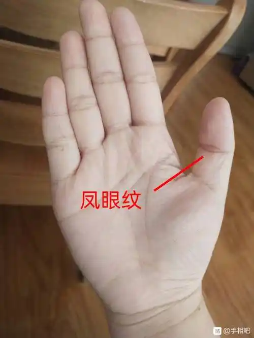 凤眼纹手相的命运女人?凤眼纹中间有一条纹是什么纹?