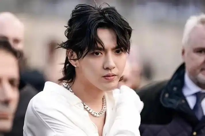 吴亦凡二审被判13年徒刑并驱逐出境!粉丝却鸣不平赞其与捞女斗争