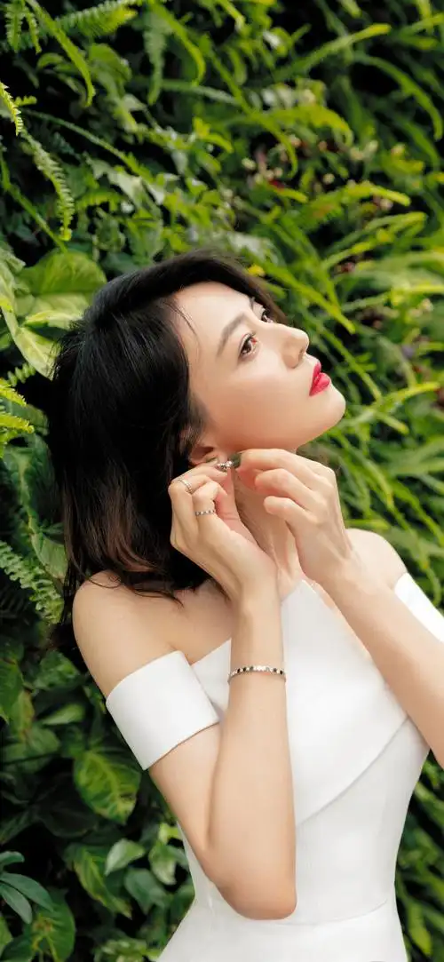 "高圆圆"手机高清壁纸