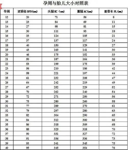 孕23周 6天 胎盘低 胎周与胎儿大小对照表