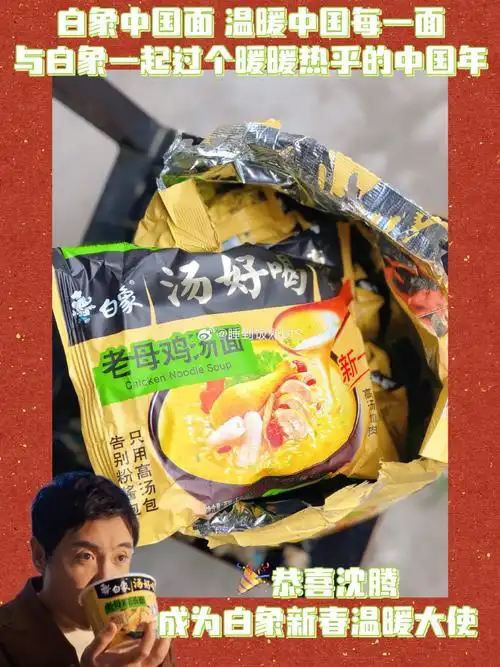 沈腾白象新春温暖大使