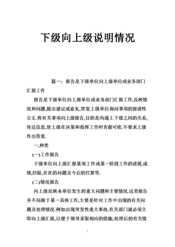 下级向上级说明情况doc18页