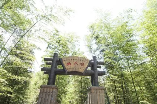 贵州省赤水有一个美丽的地方赤水竹海国家森林公园