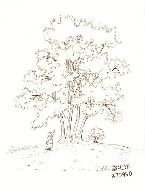 钢笔淡彩之线描～树