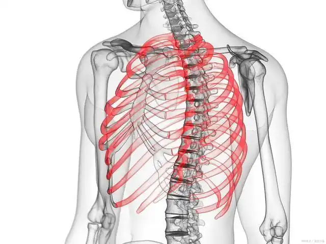 后背,肩胛骨区域疼痛是怎么回事?如何应对?
