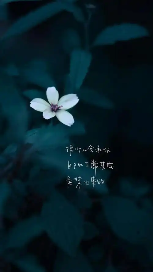 小清新花朵励志文字,高清图片,手机锁屏桌面-壁纸族