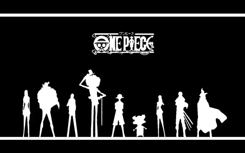 找一张关于海贼王的图片