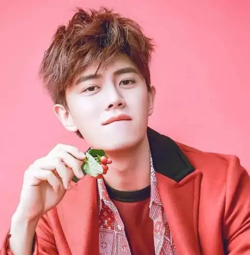 微信头像任嘉伦邓伦