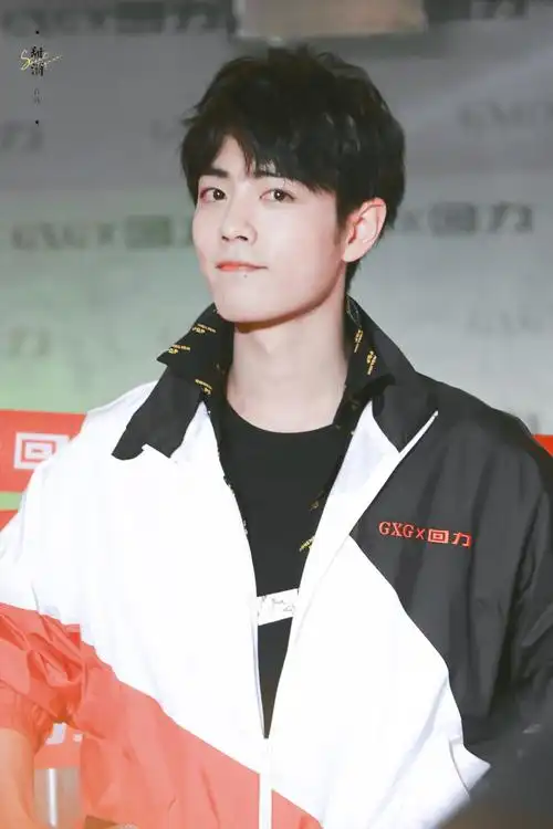 肖战gxg×回力