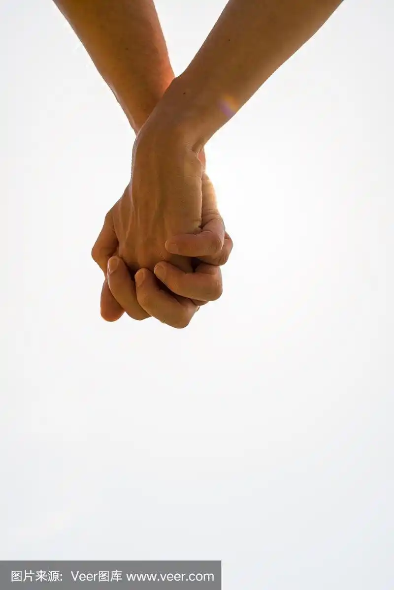 在这张爱情的特写照片中,一对夫妇紧握着双手