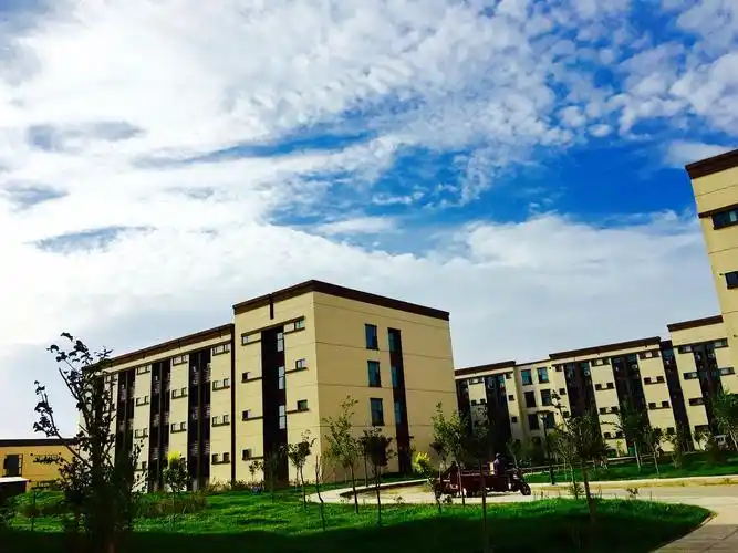 新疆财大商务学院