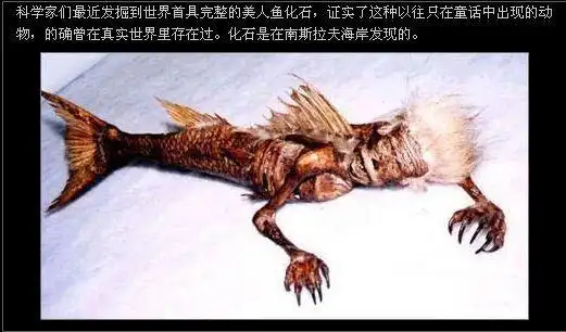 世界上有美人鱼吗真实照片漂亮的美人鱼真实存在的图片