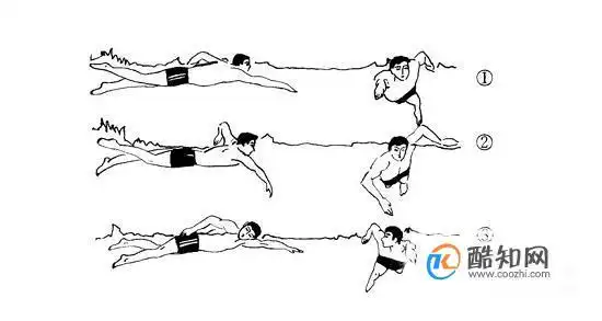 怎样学习游泳游泳技巧教学图解快速学会游泳优质