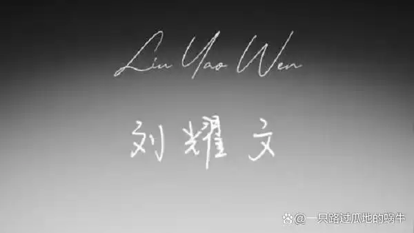 应援色是水玉暖炽,严浩翔的应援色是珊瑚红,刘耀文的应援色是耀月银白