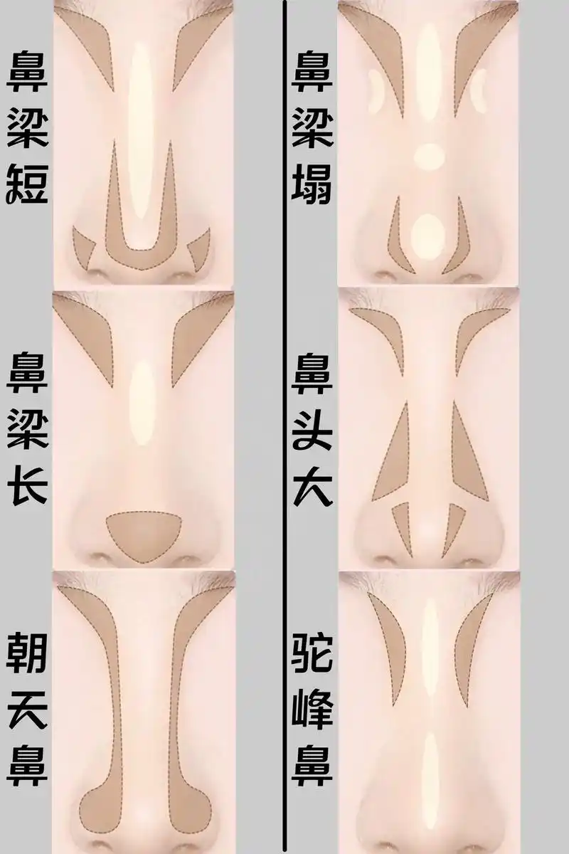 每个公主的脸型都有不同的特点,初学的时候 - 抖音