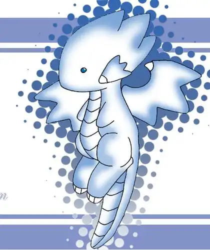 求一张小白龙图片