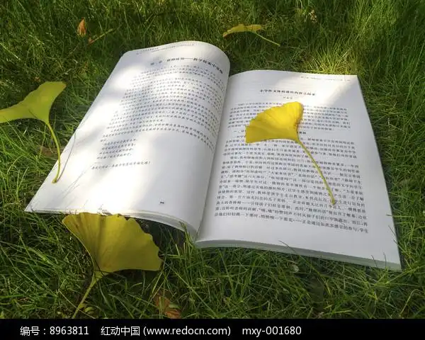 落叶书籍草地