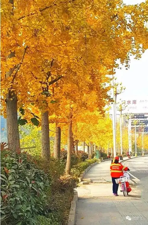 30张图让你发现身边的美原来是如此的惊艳