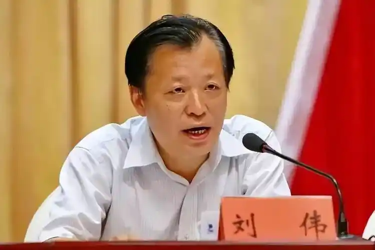 进京工作2年多后刘伟重回地方