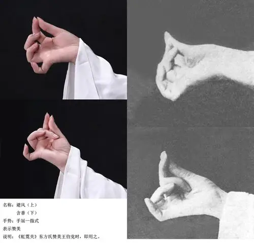 梅馆云端展|手舞艺术——梅派兰花指摄影展 - 梅兰芳纪念 馆