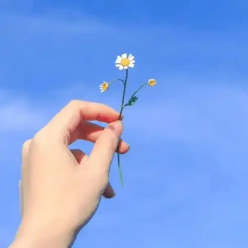 用自己照片当微信头像的人都是什么样的人很准