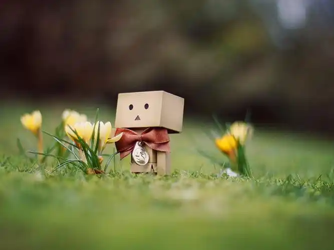 纸盒子,纸盒人童话,阿楞,danboard,可爱,唯美,护眼,静物,纸箱人阿楞