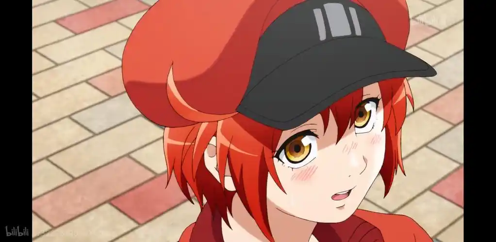 工作细胞,红血球