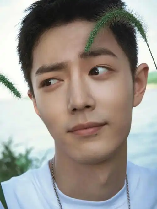 每日续命良药肖战