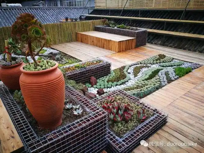 布局带来一层层叠加错落的感觉花园一侧的三级大台阶最终也将摆满多肉