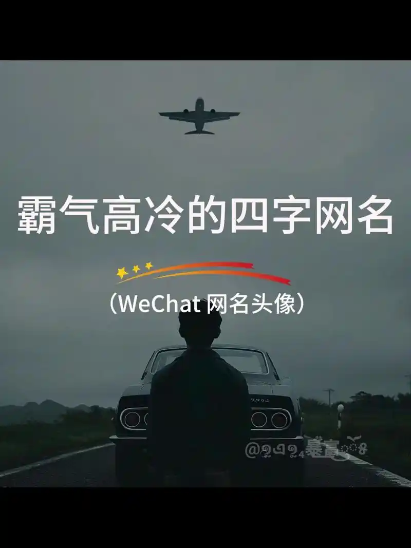 霸气高冷的四字网名.我的世界,我一个人懂就好 #特殊符号网名