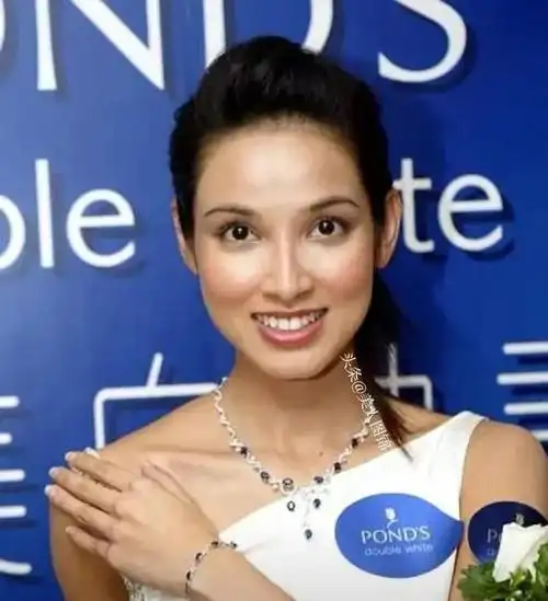 古天乐的绯闻女友,中印混血"春风美人"《寻秦记》公主～郑雪儿