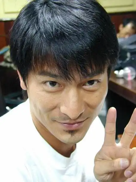 你觉得刘德华演的哪部电影最好看(这部划时代的电影)(8)