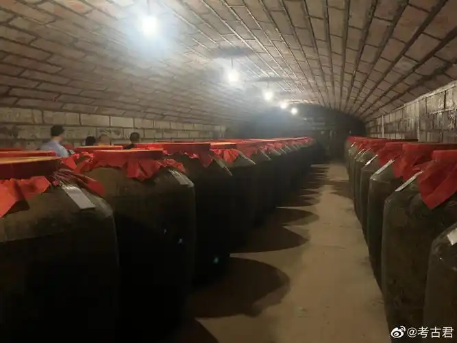 从来不喝酒的我,今天参观了一个大酒窖