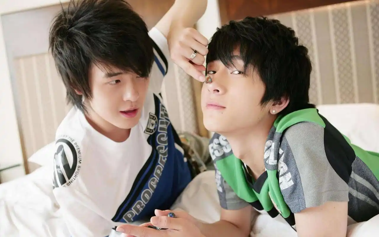 【bobo组合】【付辛博x井柏然】真相是真