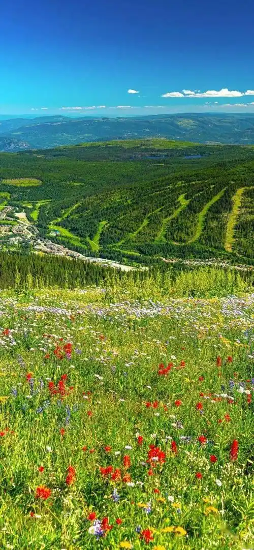 高清风景壁纸|诗和远方_头像_微信_姓氏