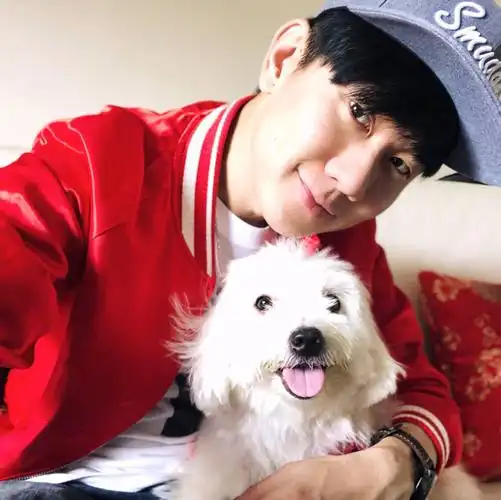 明星头像手机壁纸林俊杰jj赞评论更多