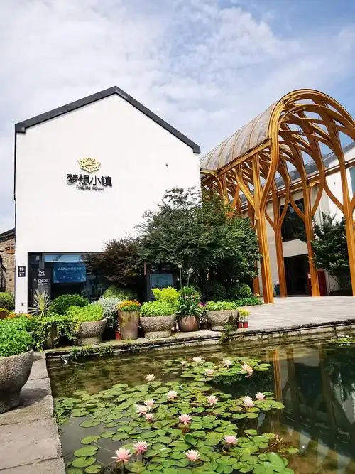 余杭仓前梦想小镇, 2020.6.2 - 美篇