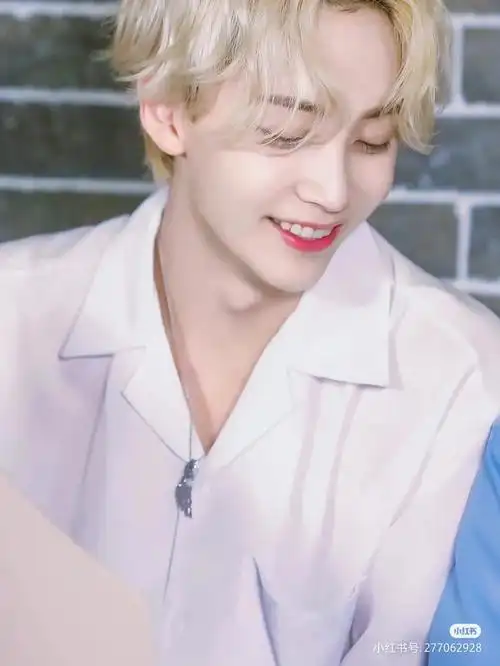 个人认为svt.颜值排名前三