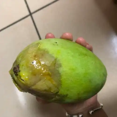 义果缘越南进口青芒果当季芒果5斤新鲜水果青芒玉芒甜心芒香芒