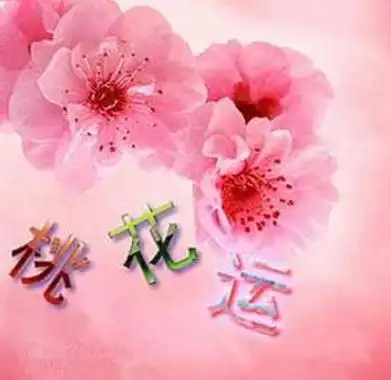 桃花运对爱情有什么作用八字桃花运与爱情