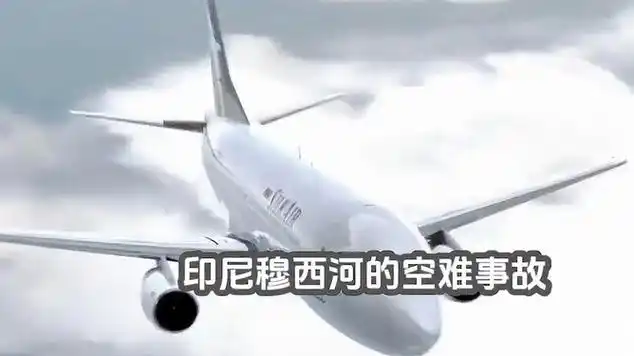 交通 #空难 #普法小剧场 #真实故事|胜安航空185号班机空难_网易势档