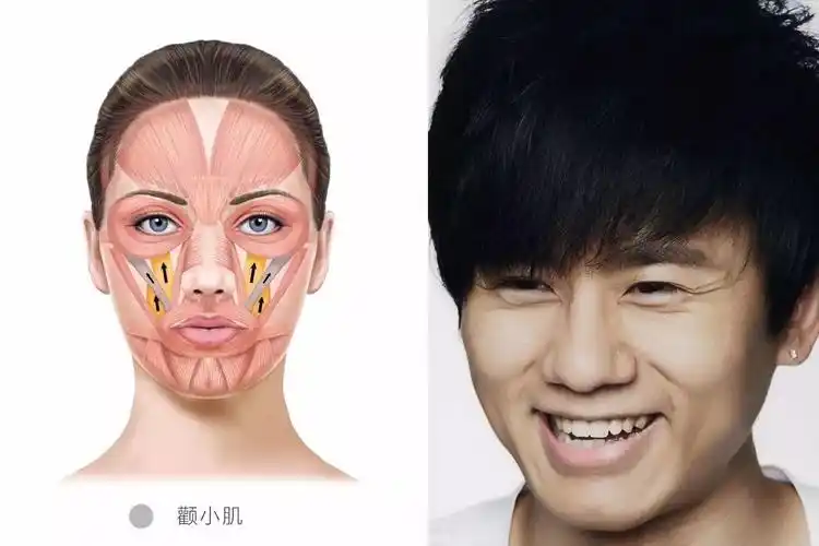 感觉他脸部肌肉整体力量薄弱,怎么也笑不开
