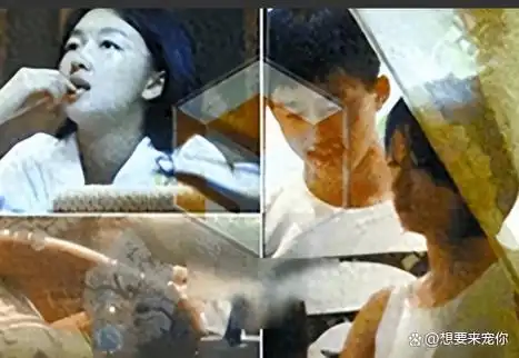 周冬雨被曝不拉窗帘与男友玩"拔萝卜",彻底暴露本性